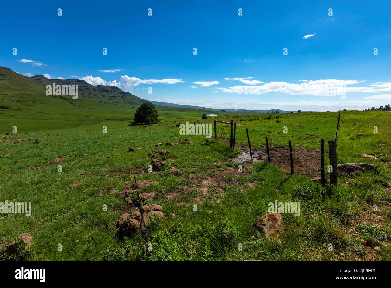 Farm fence and green pastures Drakensberg South Africa Stock Photo - Alamy
