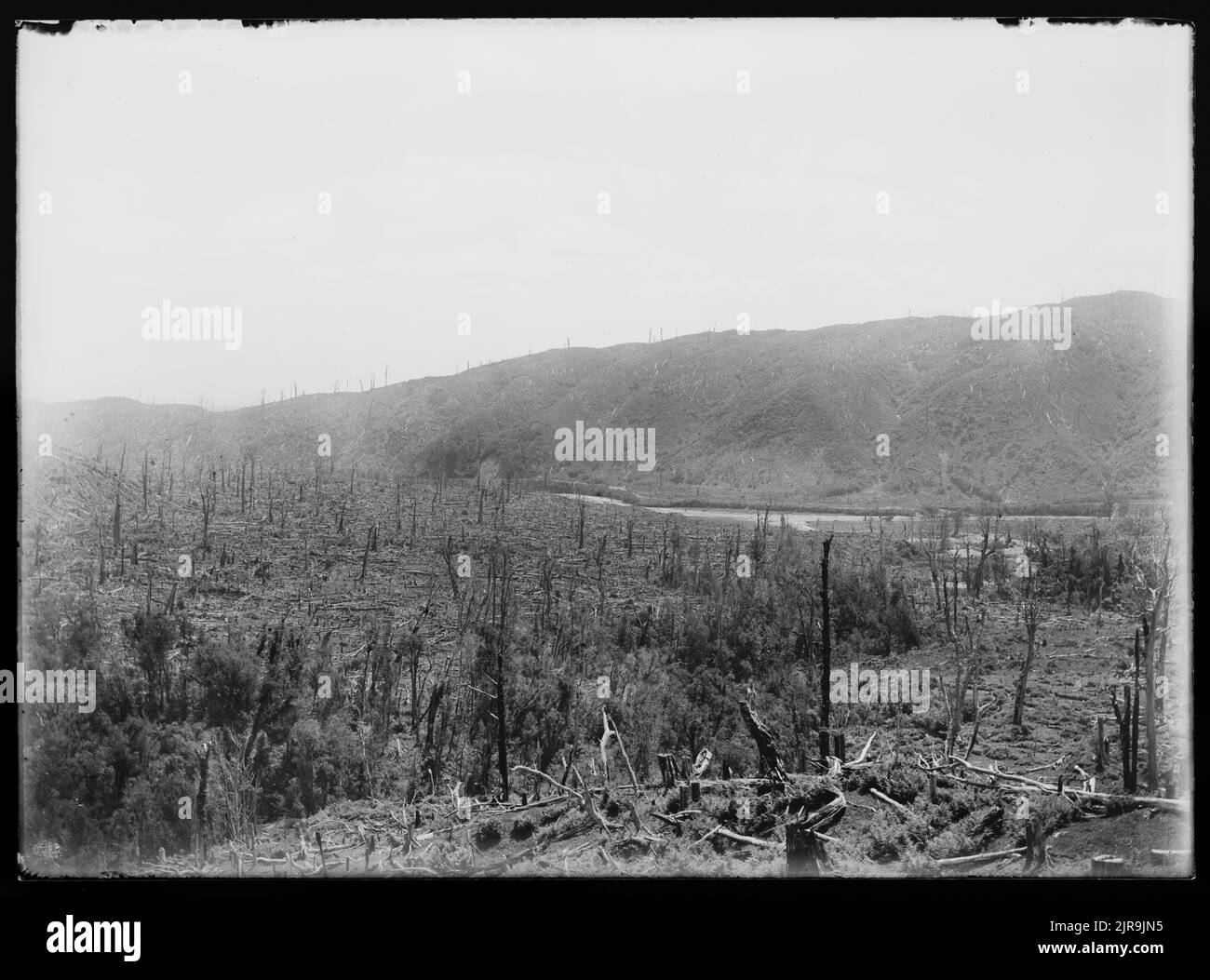 Horowhenua Ohau Valley, by Leslie Adkin Stock Photo Alamy