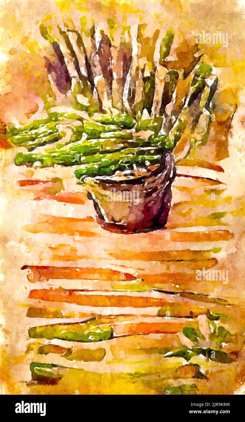 Painted watercolour picture of green asparagus. Asparagus season Stock Photo