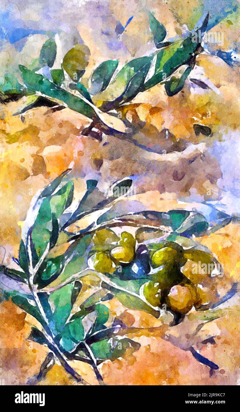 Watercolour painting of olive branches with olive fruits. Painted. Stock Photo