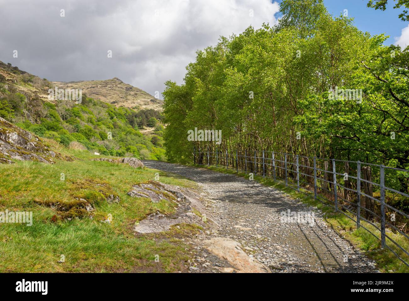 The Watkin path leading up into Cwm Llan above Nantgwynant in Snowdonia national park, North Wales. Stock Photo