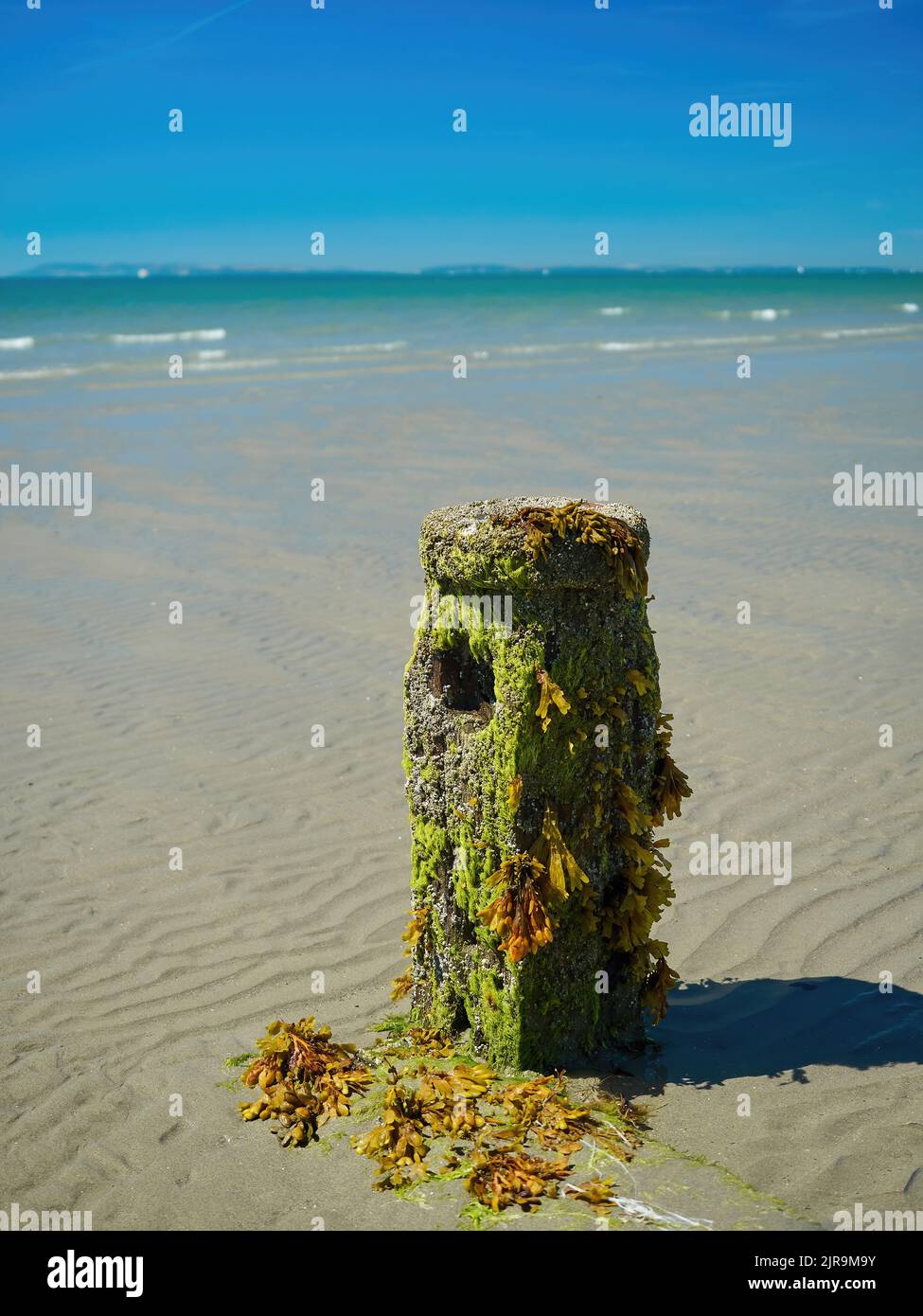 An empty stretch of Sussex sea and rippled sand with the worn, seaweed covered stump that was once a sea-defence groyne breaking up the expanse. Stock Photo