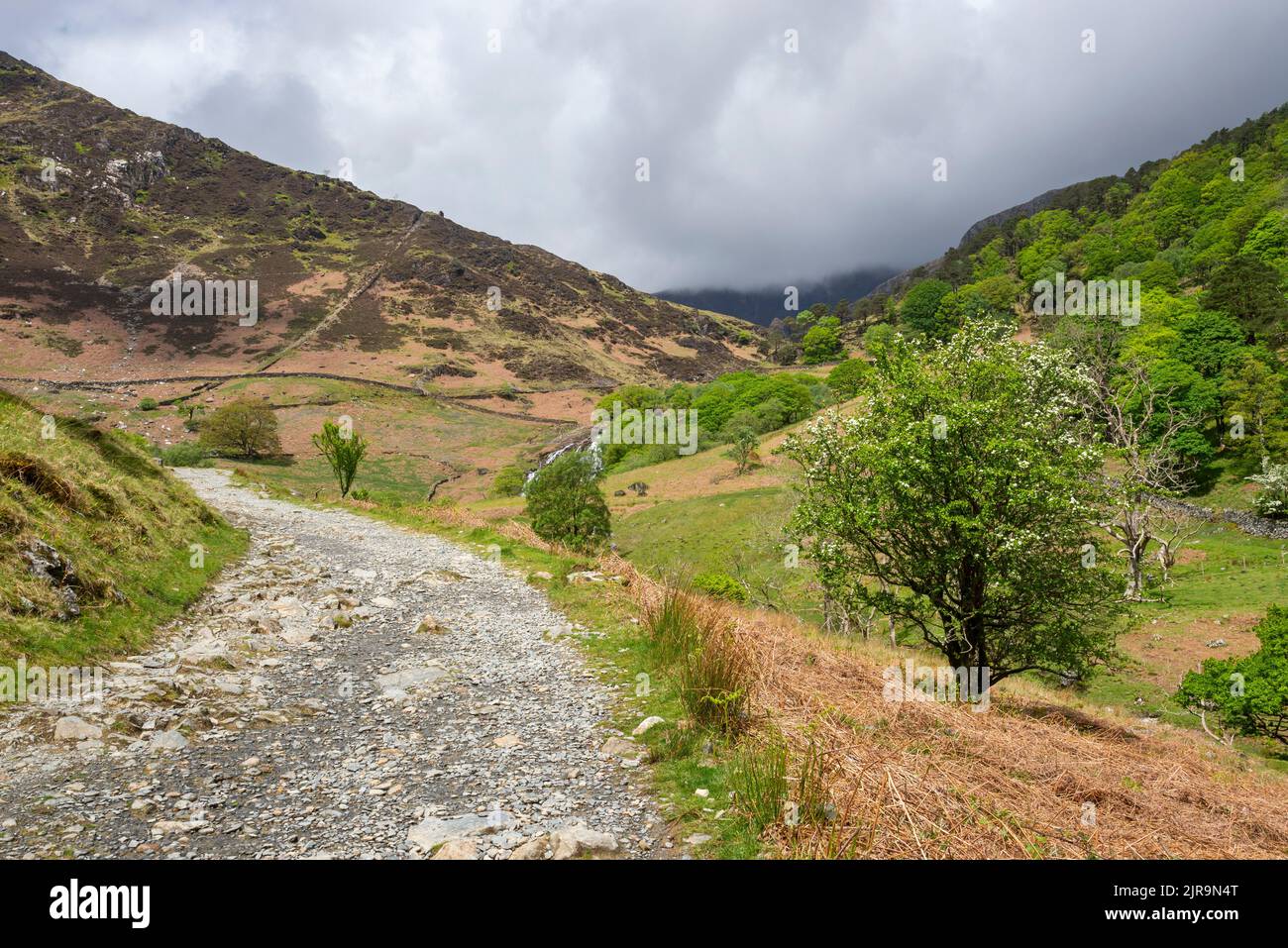 The Watkin path leading up into Cwm Llan above Nantgwynant in Snowdonia national park, North Wales. Stock Photo