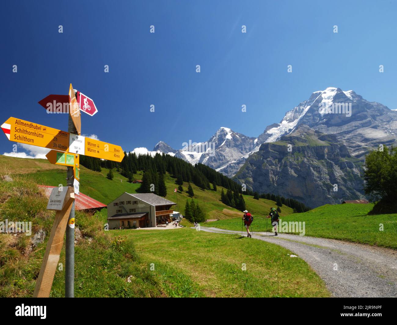 Blumental valley walk, Murren, Bernese Oberland, Switzerland. Stock Photo