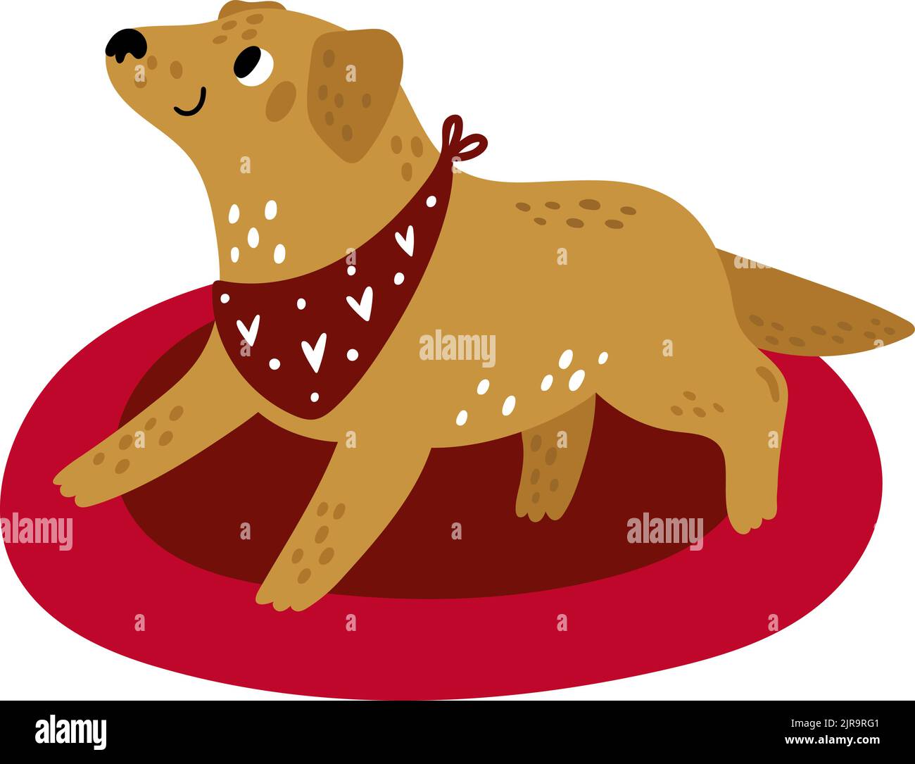 Cute golden retriever lying on red dog bed. Happy smiling pet Stock