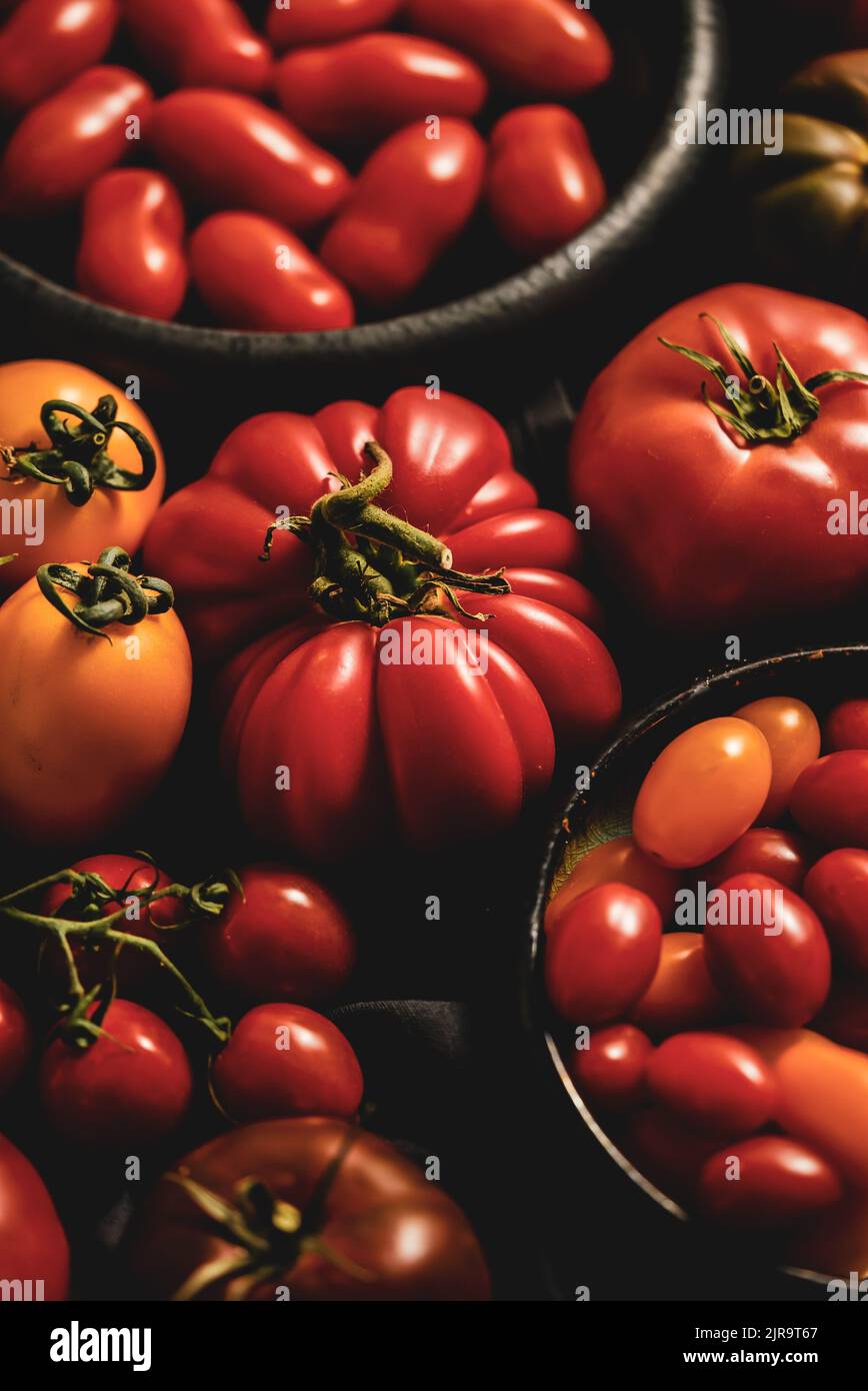 Fresh, raw and colorful tomatoes of different sizes and kinds on dark ...
