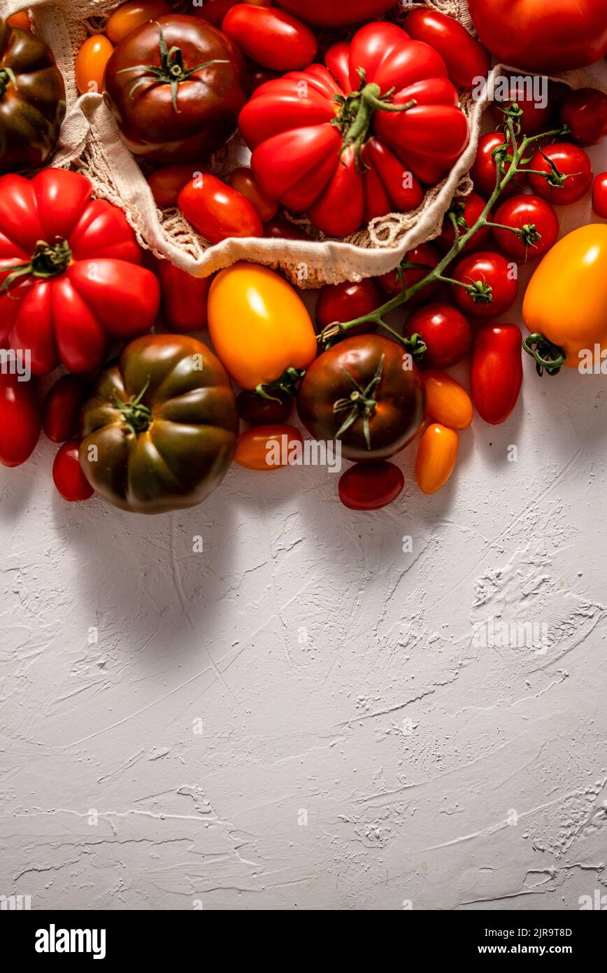 Fresh, raw and colorful tomatoes of different sizes and kinds in eco ...
