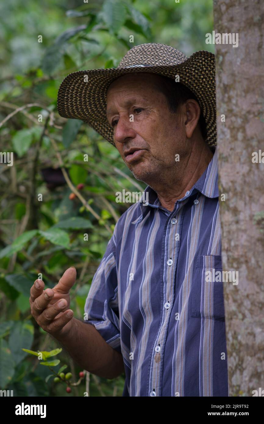 A vertical shot of a coffee farmer explaining about his plantation Stock Photo