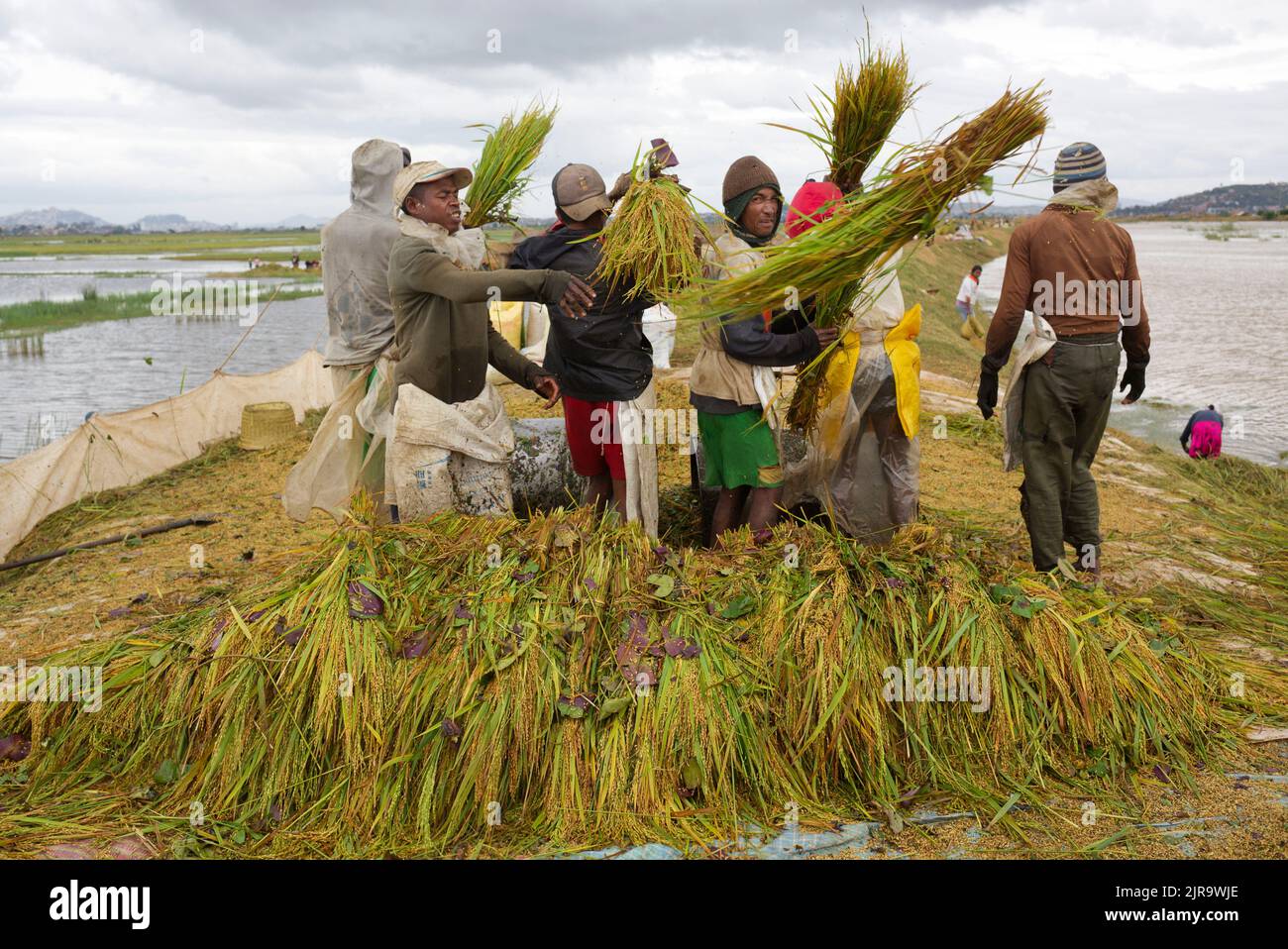 Team work labor hi-res stock photography and images - Alamy