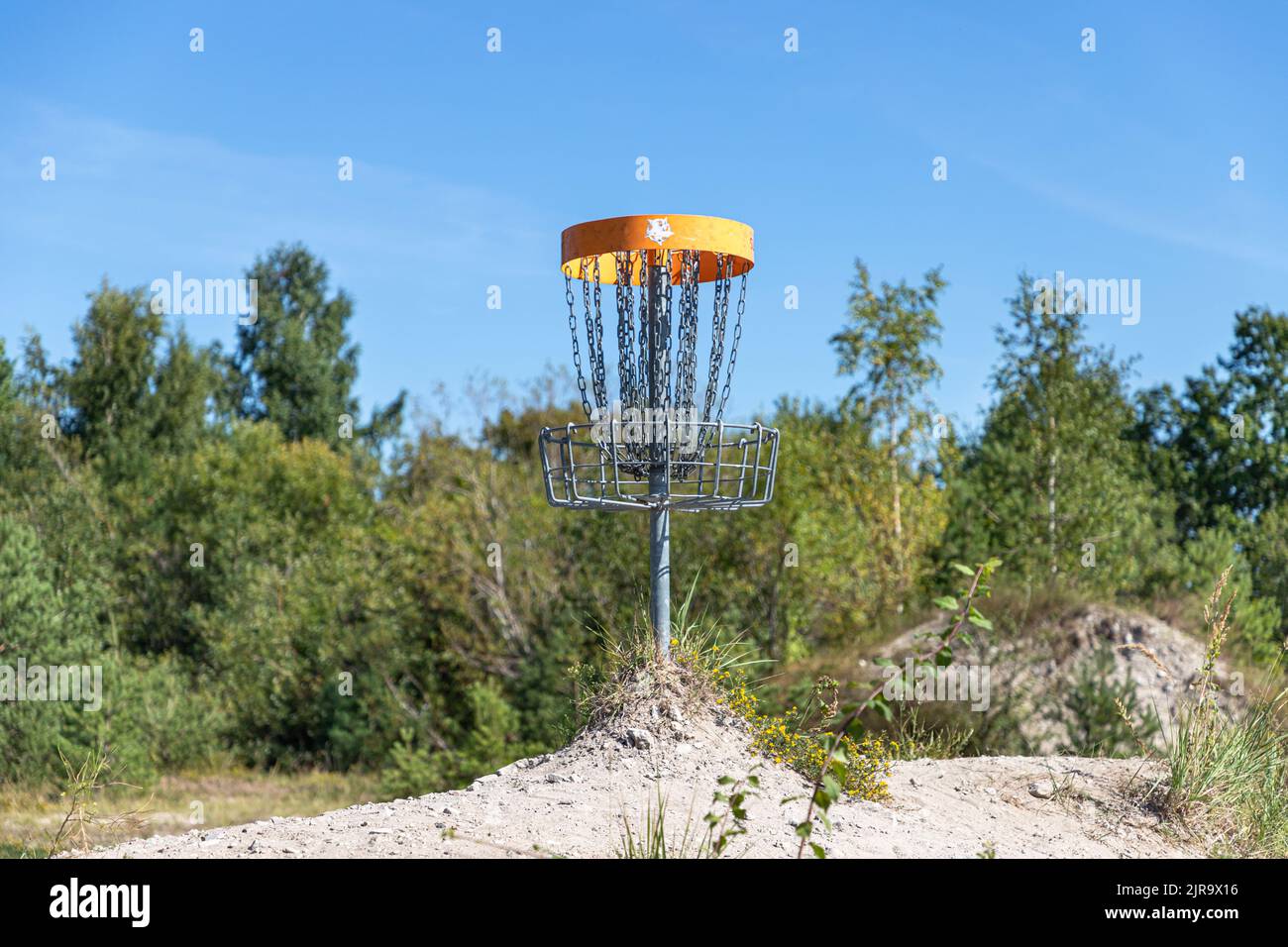 disc golf game in Estonia Stock Photo Alamy