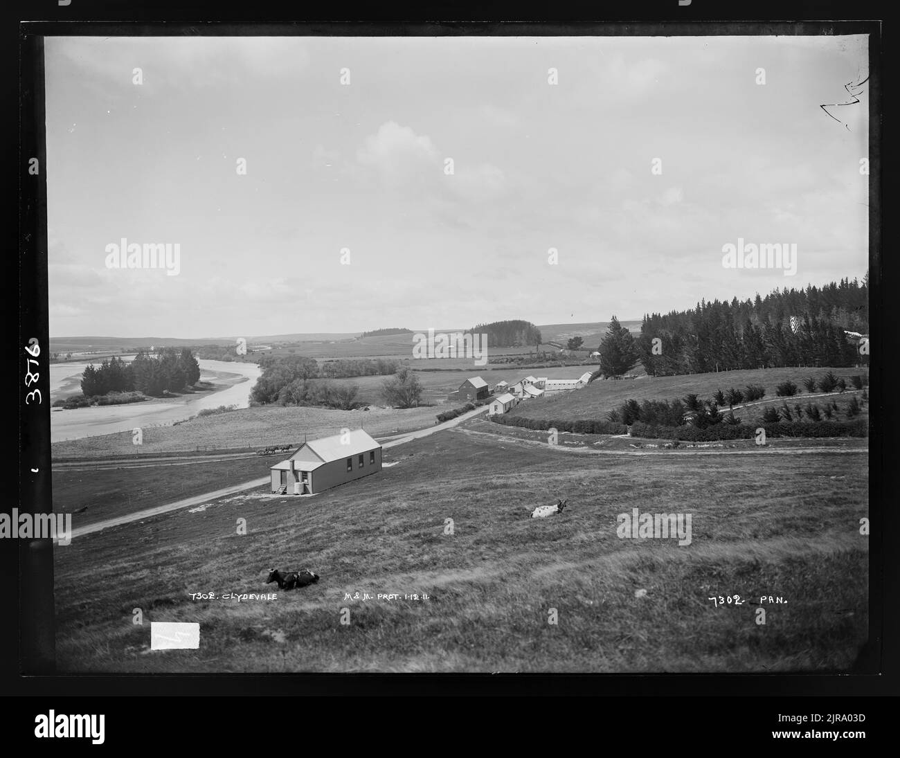 Clydevale, circa 1911, Dunedin, by Muir & Moodie Stock Photo - Alamy