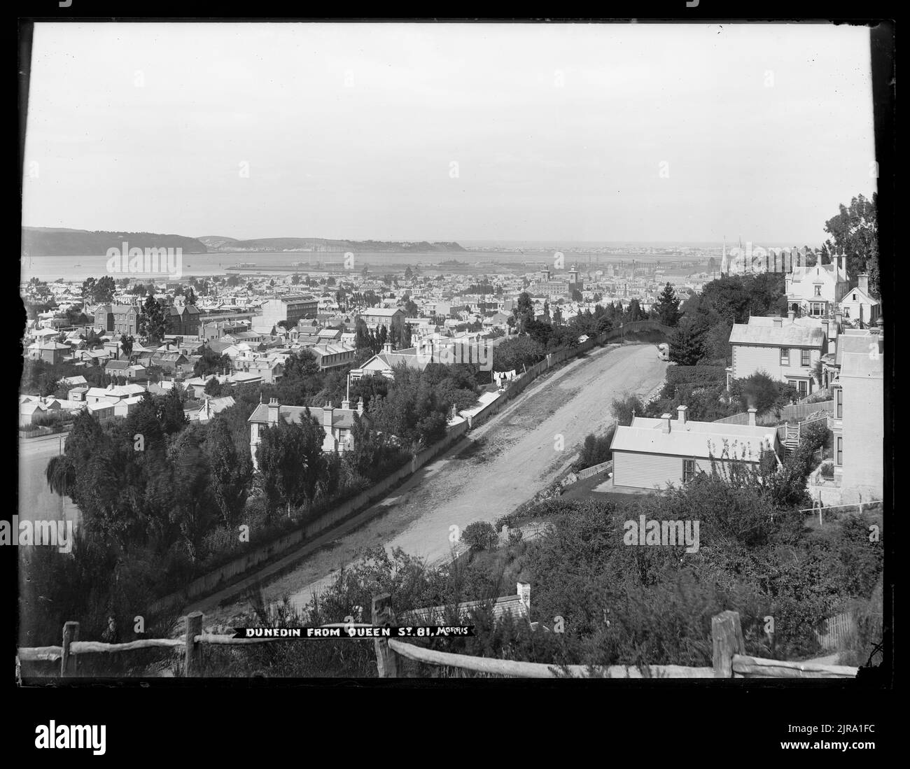 Dunedin from Queen Street , circa 1910, by John Morris Stock Photo Alamy