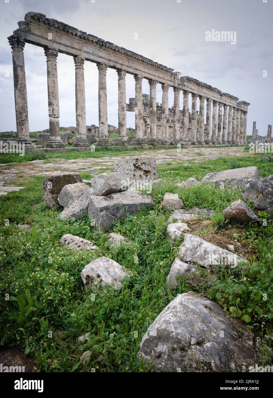 The Great Colonnade at Apamea ruins, Hama Governorate, Syria Stock Photo
