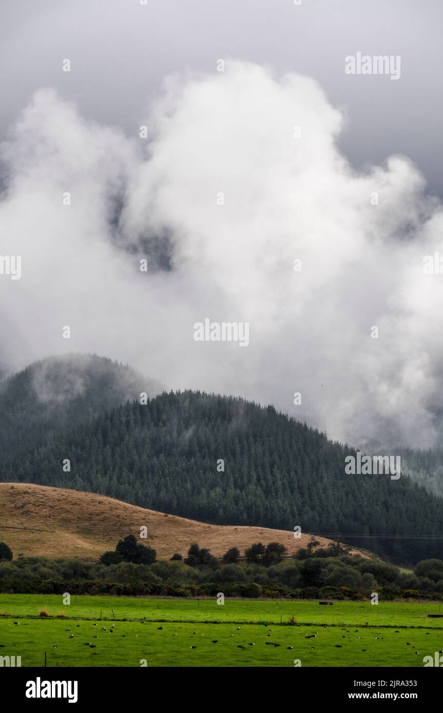 Heavy drifting mist  decending on the hills at Havelock on South Island in New Zealand Stock Photo