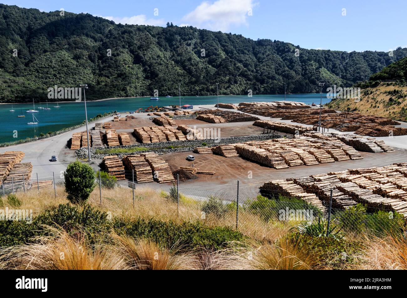 Timber for export to Japan on the quay at Picton on South Island in New