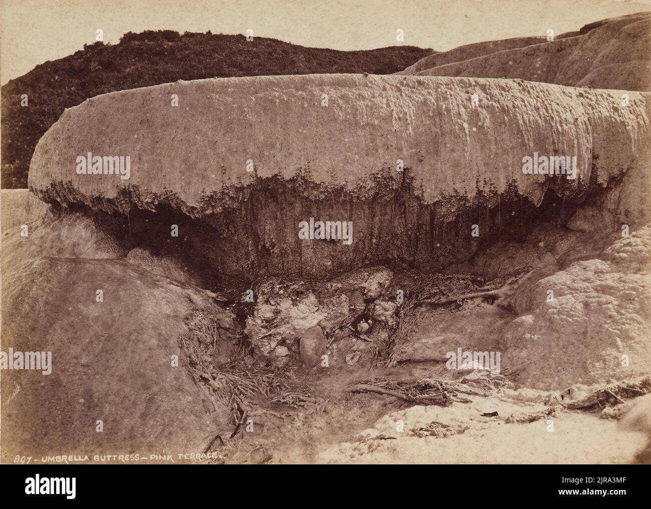 Umbrella Buttress, Pink Terrace, circa 1880s, Dunedin, by Burton