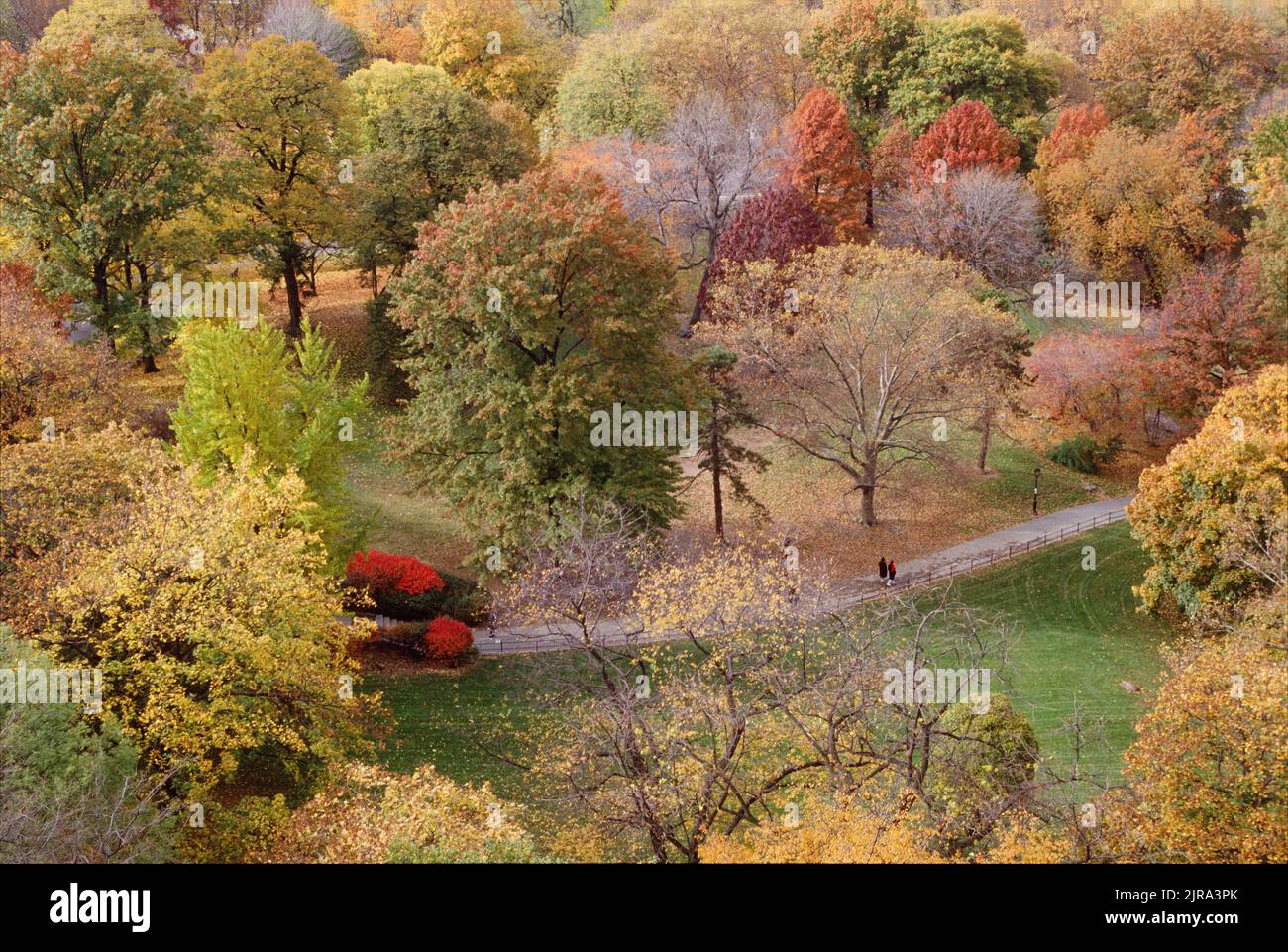 Central Park New York autumn. Autumn leaves turning color. Overhead view. Two people walking in the park Stock Photo