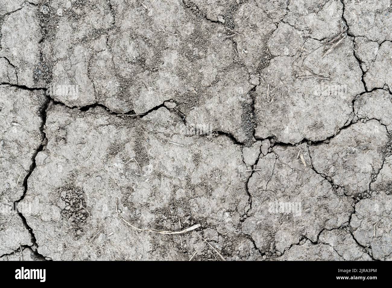 Texture of gray dry cracked earth. The concept of drought, global ...