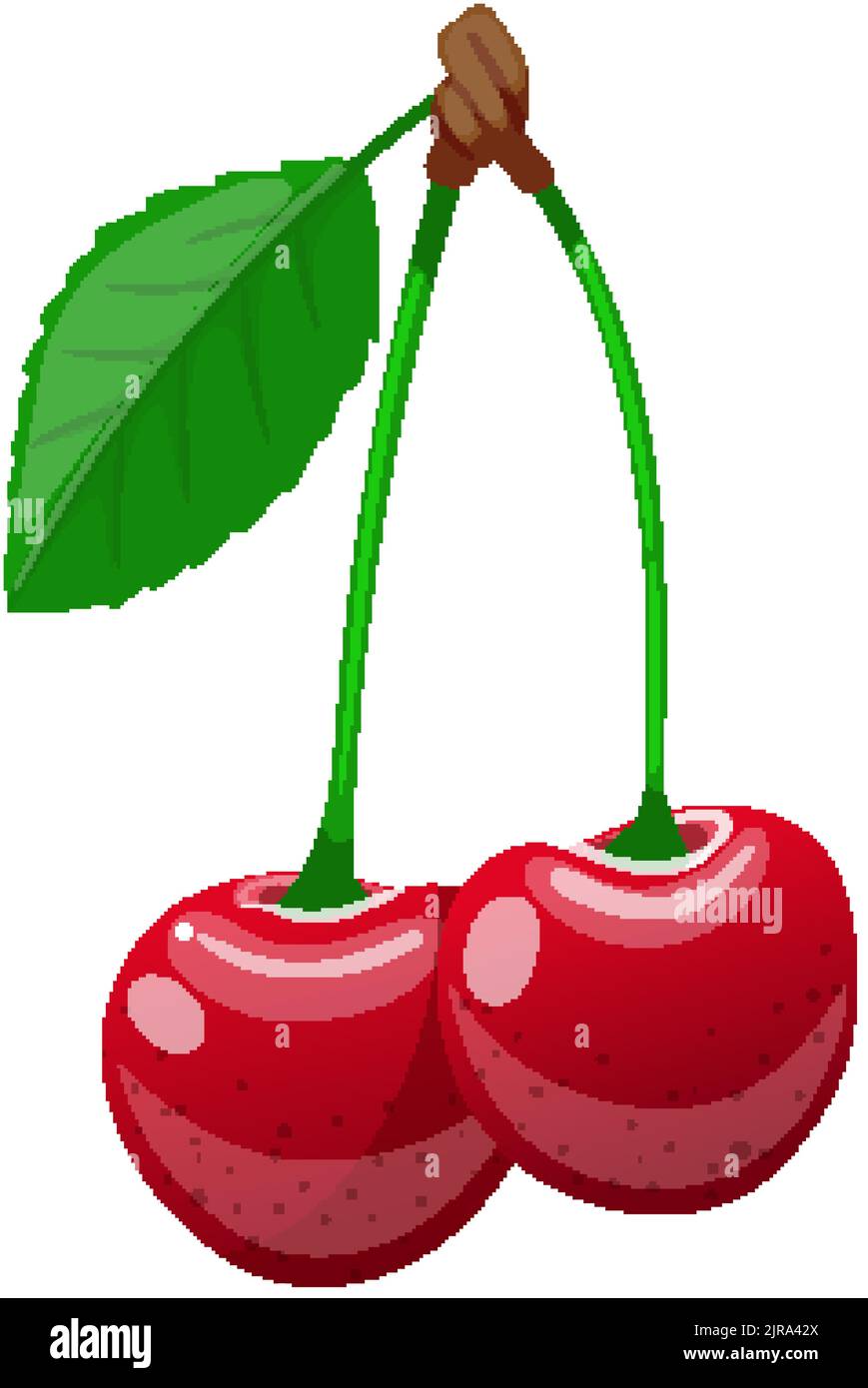 cherry leaf cartoon vector illustration Stock Vector