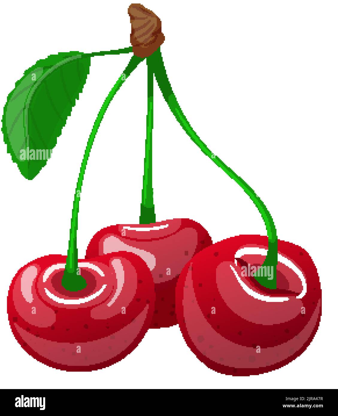cherry leaf cartoon vector illustration Stock Vector