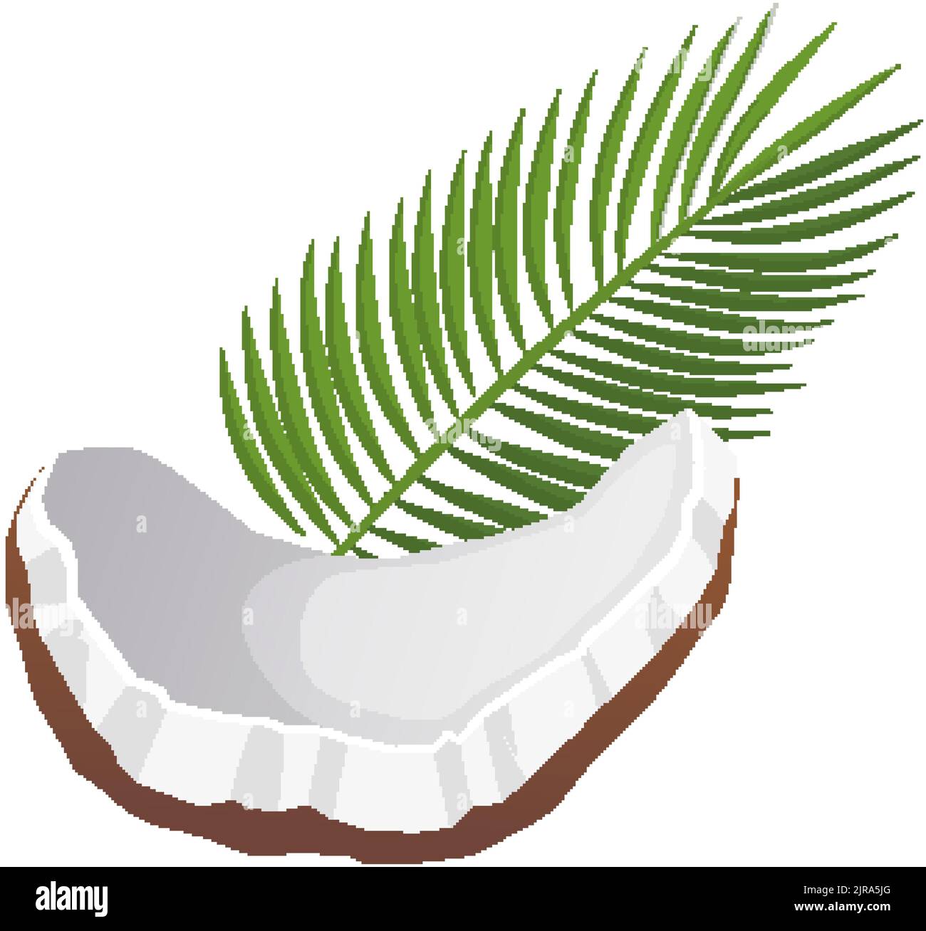 coconut fruit cartoon vector illustration Stock Vector Image & Art Alamy