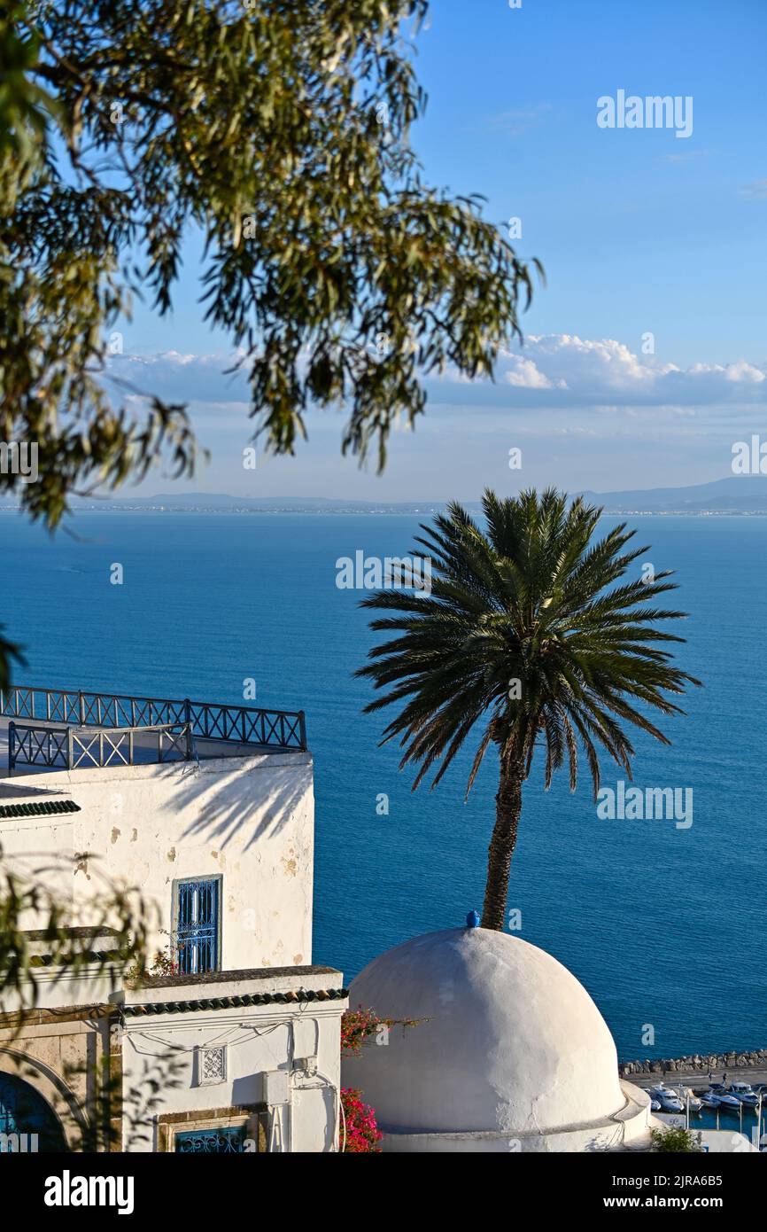 Tunisia, Sidi Bou Said: village with white houses set high up on a cliff overhanging the Gulf of Tunis Stock Photo
