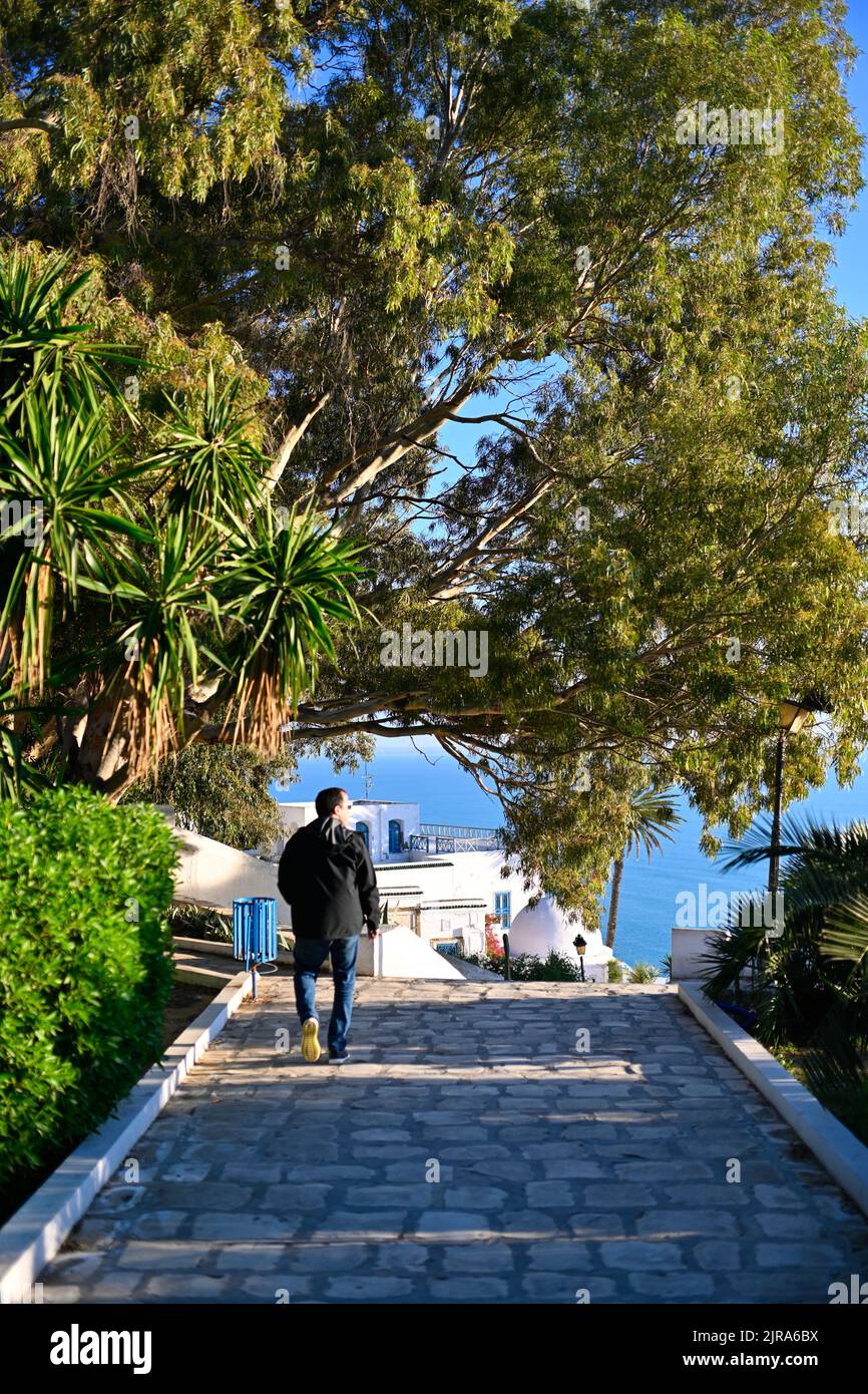 Sidi Bou Said: man, alone, gaving a walk in a paved lane of the town famous for its white houses with blue doors and rooftop terraces which combine Ar Stock Photo