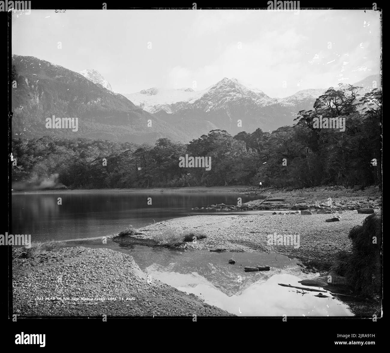 Head of North West Middle Fjord, Lake Te Anau, 1889, Dunedin, by Burton Brothers, Alfred Burton