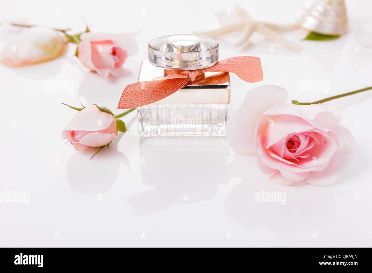 Elegant perfume bottle with ribbon on pink rose flowers background, beauty and perfumery concept. Stock Photo