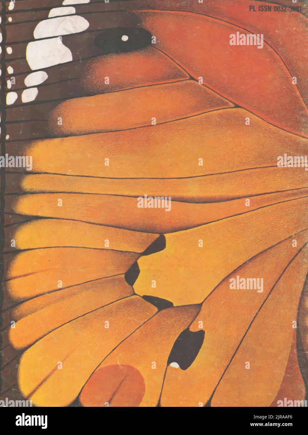 Butterfly butterlies illustration brown butterlies with dots Stock