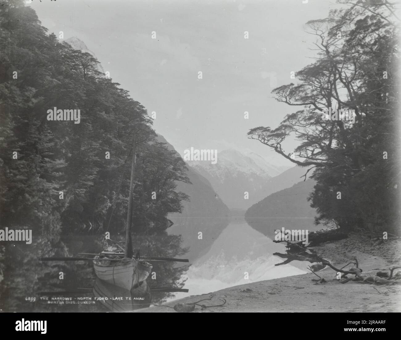 The Narrows, North Fjord, Lake Te Anau, 1889, Dunedin, by Burton Brothers, Alfred Burton Stock
