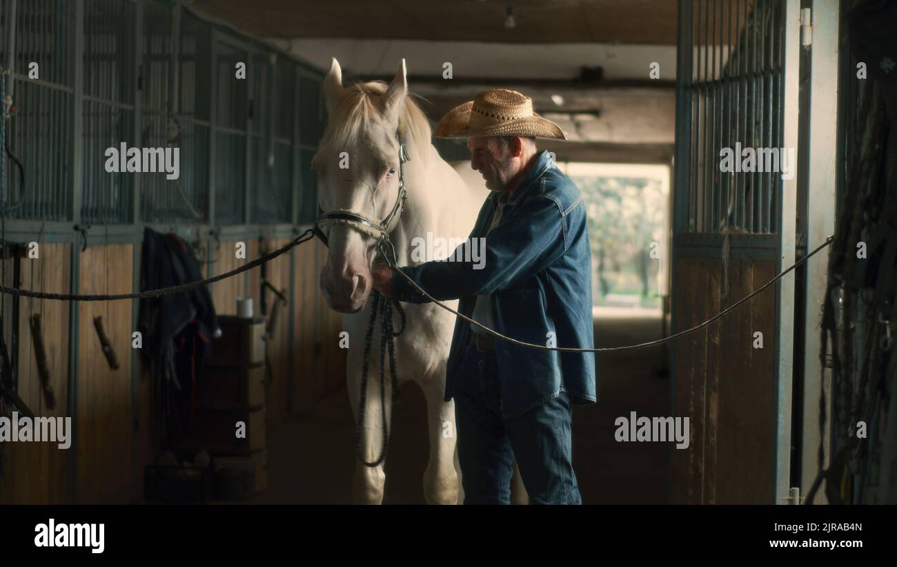 Positive senior male farmer in denim clothes and hat cleaning and kissing albino horse while working in stable on ranch Stock Photo