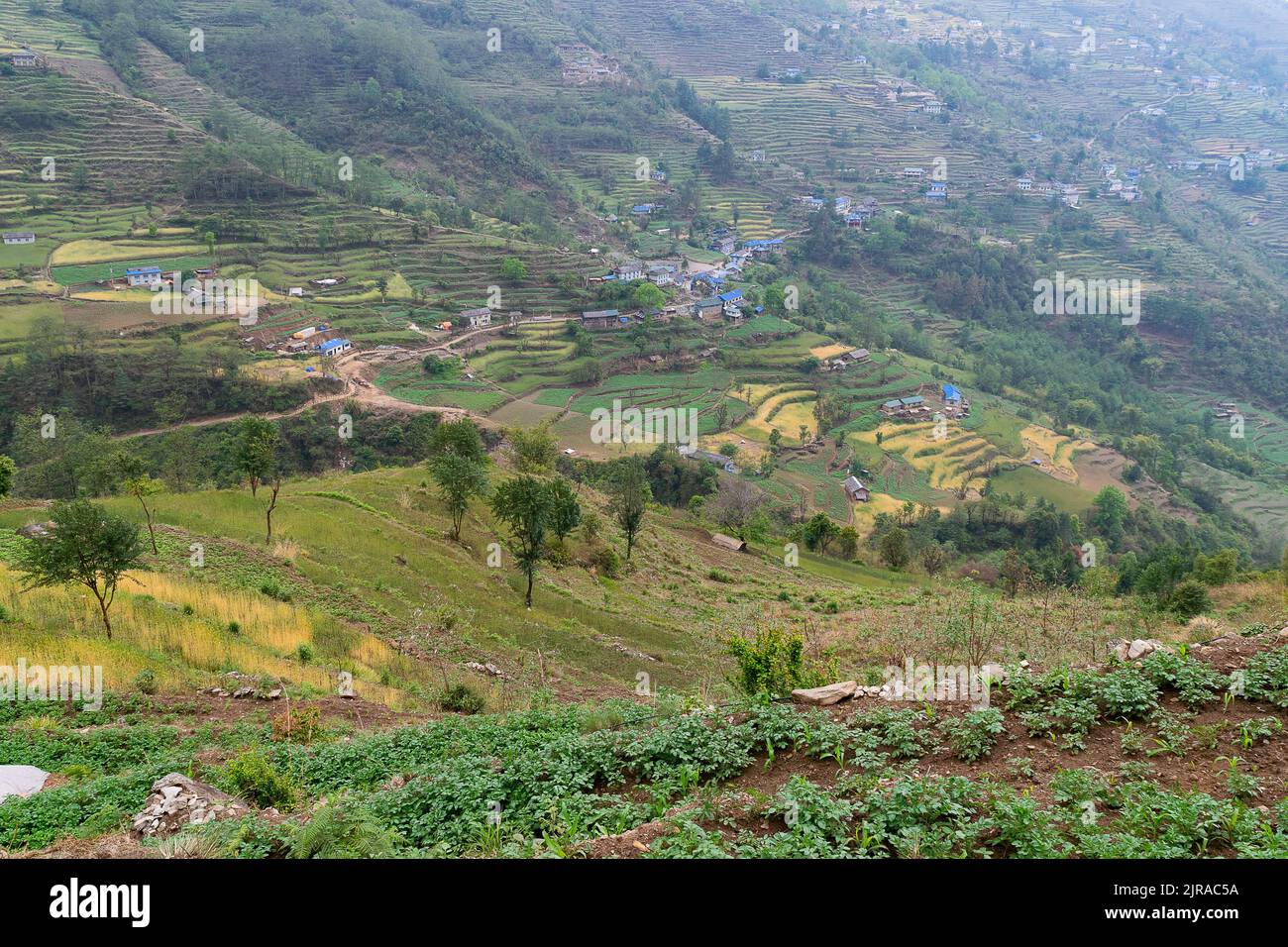 An aerial view of the Kharikhola village rice terraces Stock Photo - Alamy