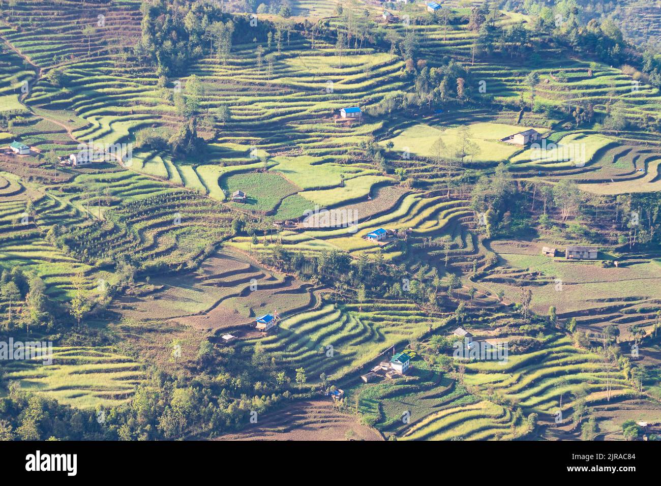 An aerial view of the Kharikhola village rice terraces Stock Photo - Alamy