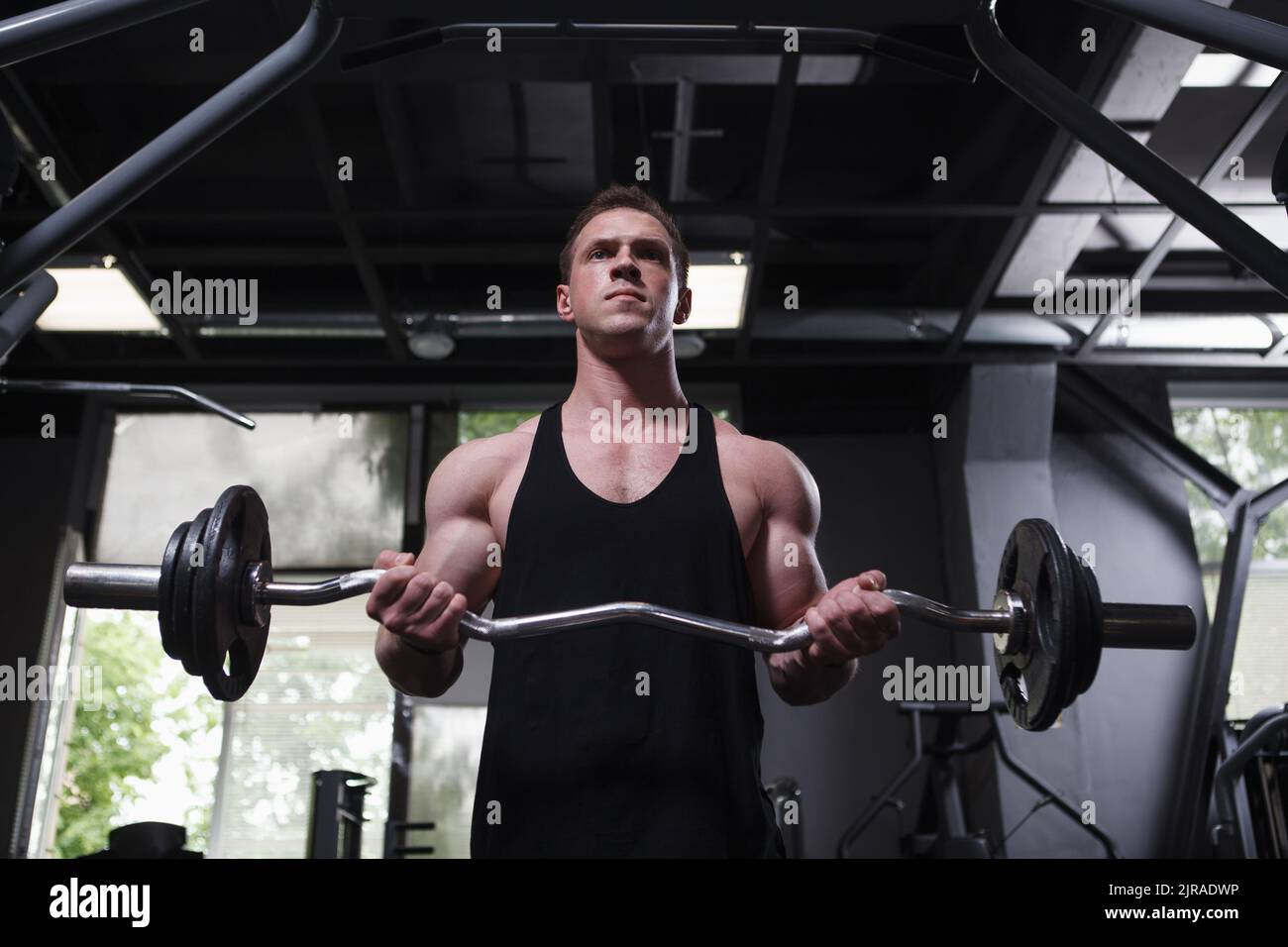 Ripped bodybuilder doing biceps curls with ez curl barbell Stock Photo