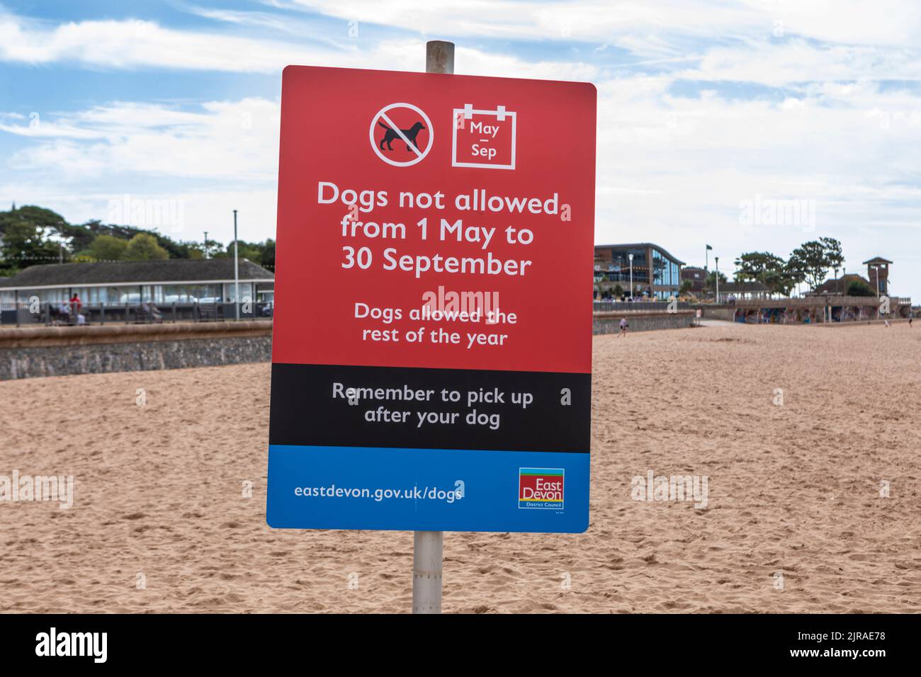 A dogs not allowed sign on Exmouth beach, Devon Stock Photo Alamy