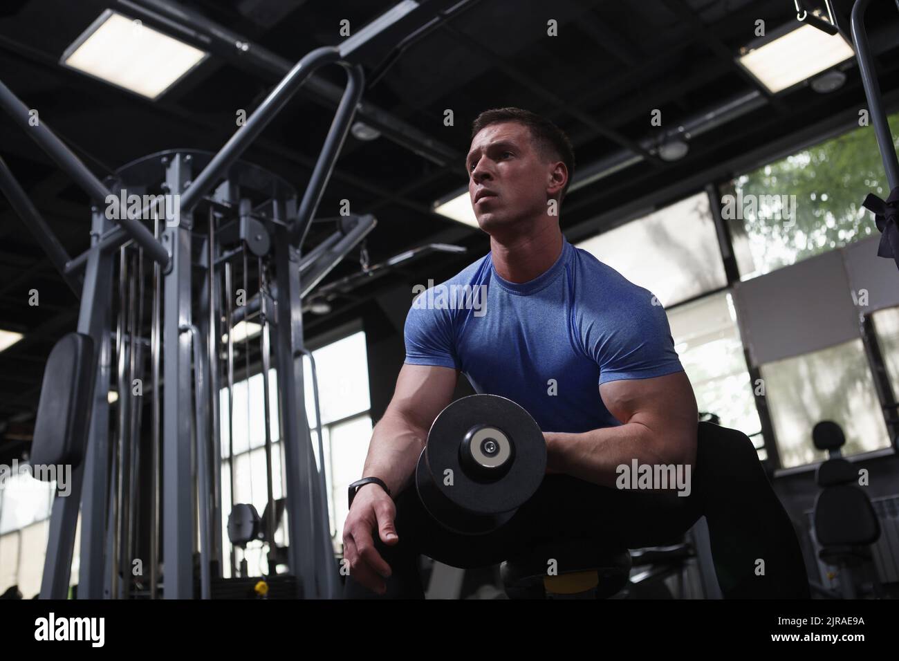 Low angle shot of a bodybuilder doing bicep curls with a dumbbell Stock ...