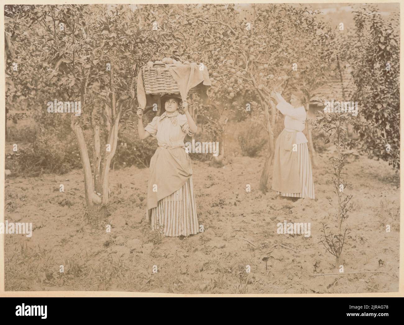 Italy 1880s hi-res stock photography and images - Alamy