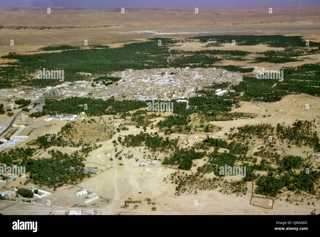 Algeria, Sahara Desert: aerial view of an oasis in the desert, 1963 Desert, trees and village Stock Photo