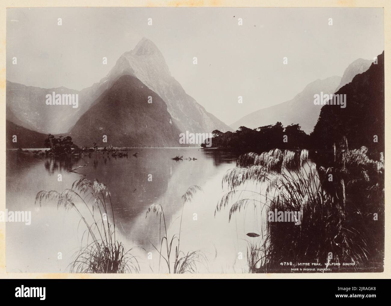 Mitre Peak Milford Sound By Muir Moodie Burton Brothers Stock 