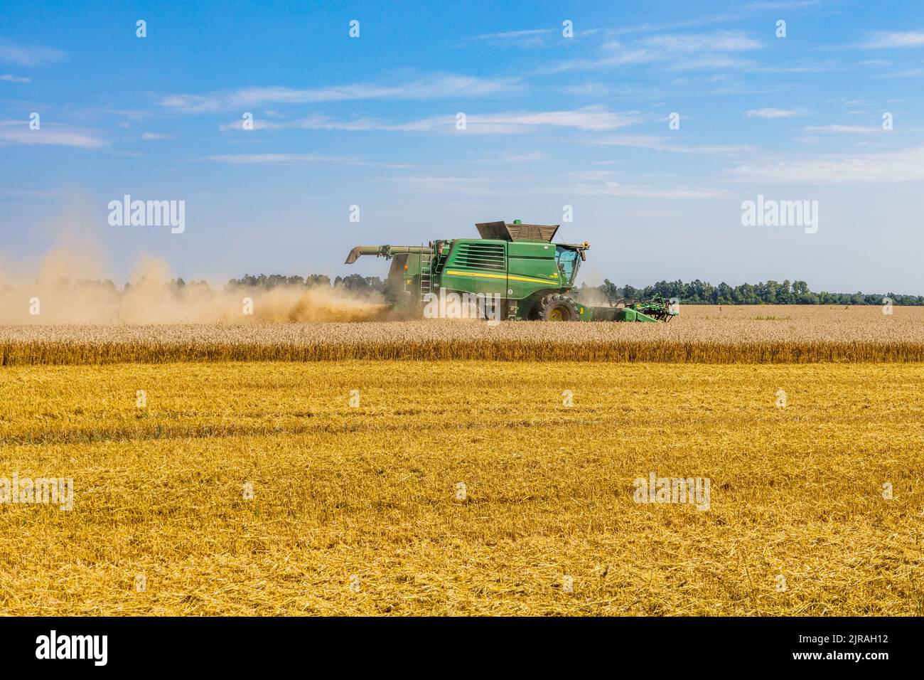 Agricultural wheat field with combine machine in working prosses. Simnas, Lithuania, 15 August 2022 Stock Photo