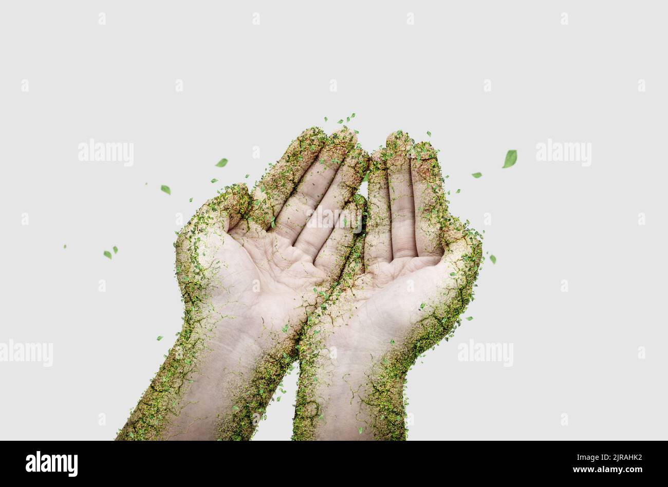 Hands covered with green leaves for Save the world Concept or Sustainable Concept. Stock Photo