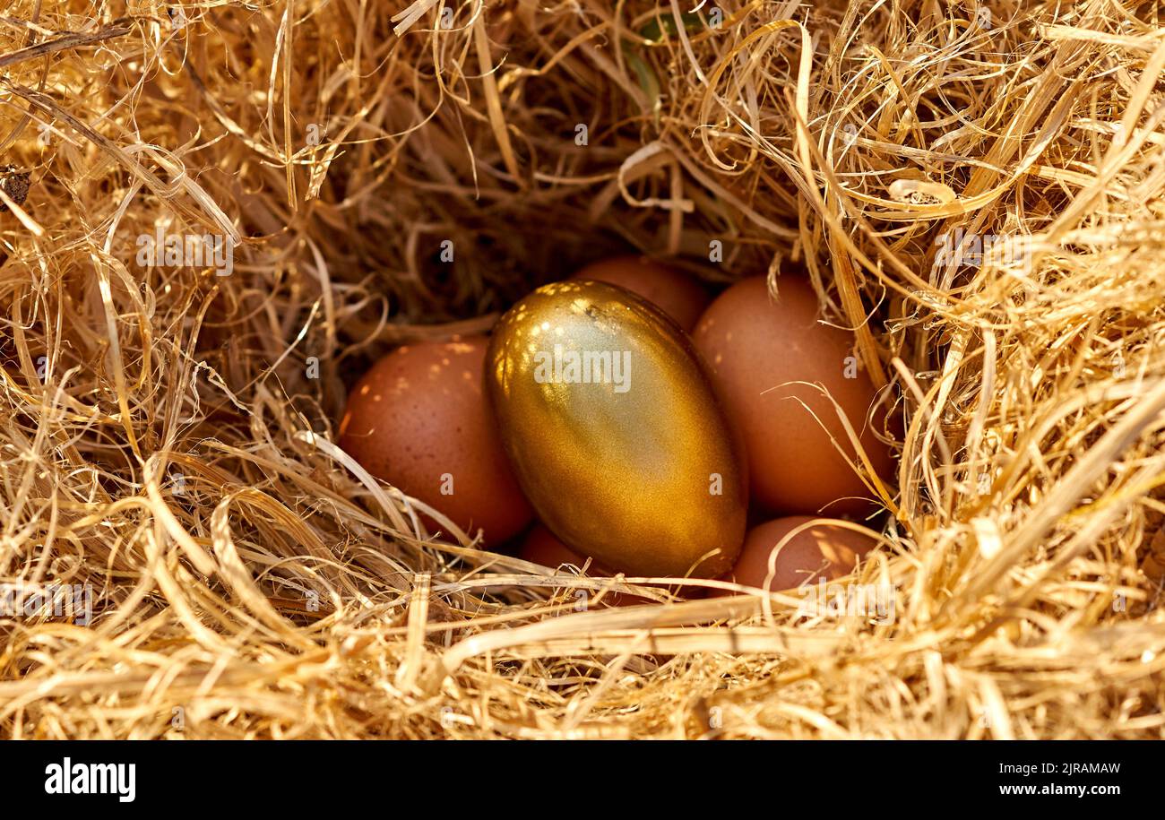 A golden egg in a nest Stock Photo - Alamy