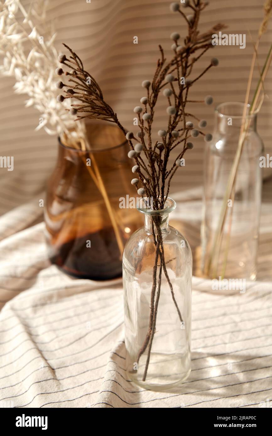 decorative dried flowers in vases and bottles Stock Photo Alamy