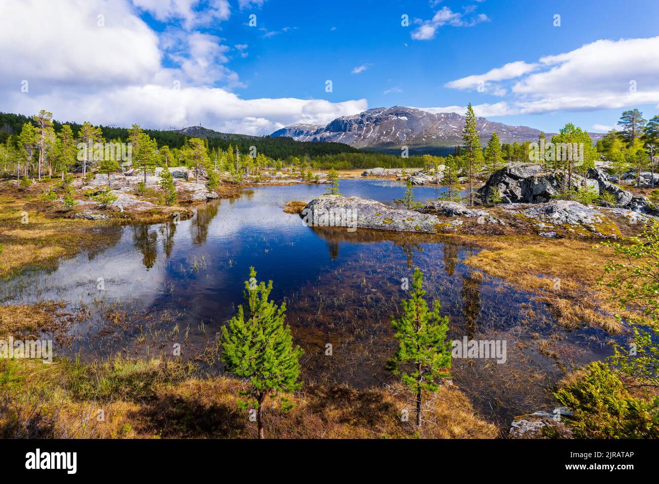 Sweden, Norrbotten County, Clear alpine lake in summer Stock Photo