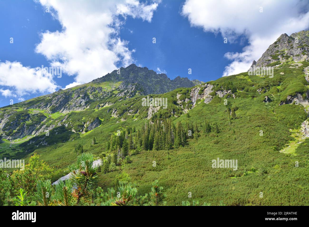 Tatra Mountains trail through Dolina Roztoki. Tatra National Park mountains panorama in Poland Stock Photo