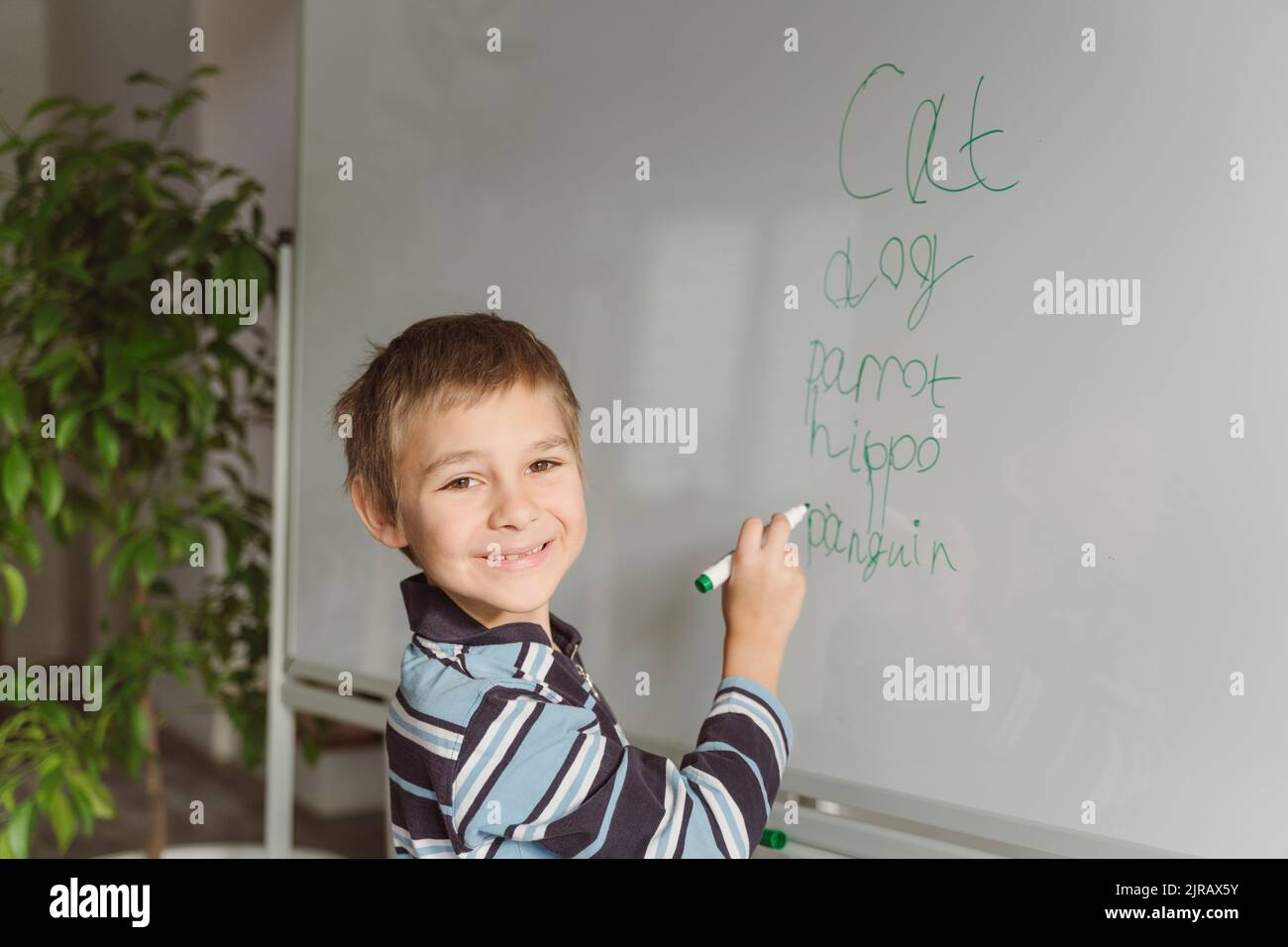 Smiling boy writing on whiteboard at home Stock Photo