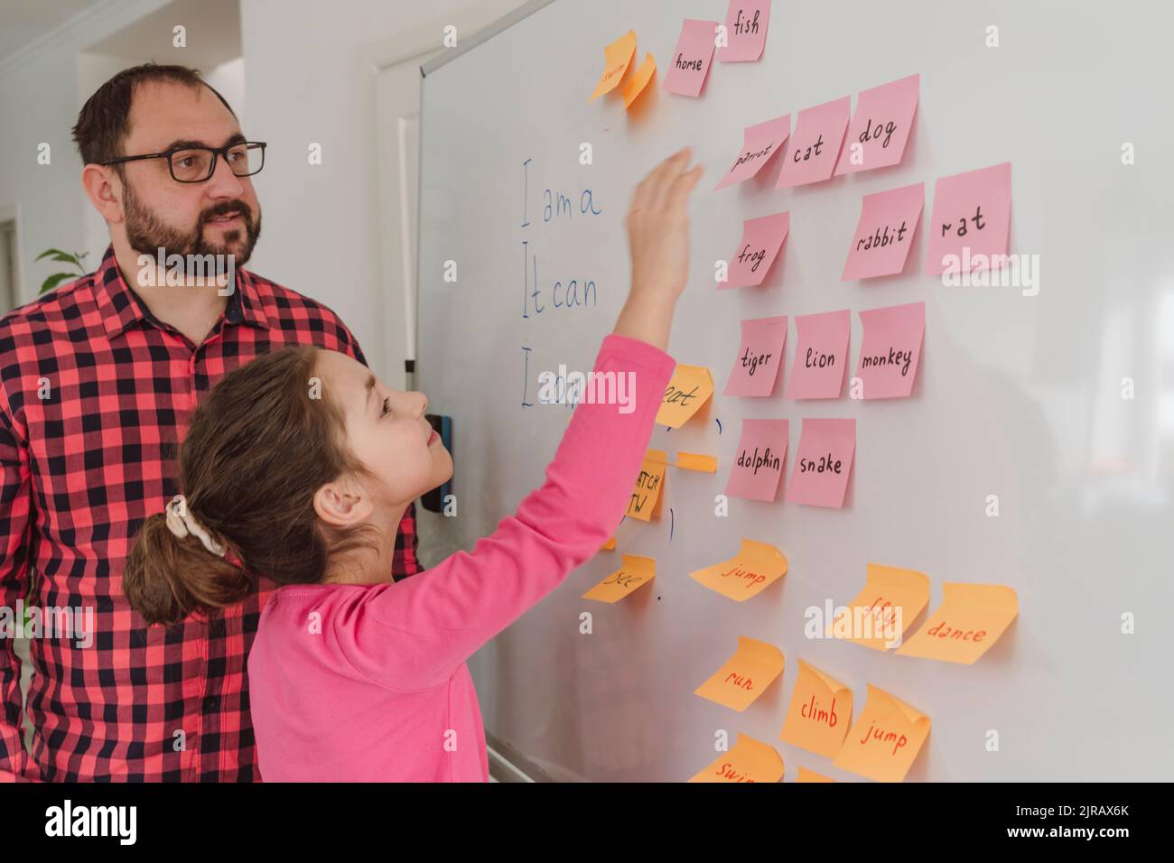 Girl removing adhesive note from whiteboard by teacher at home Stock