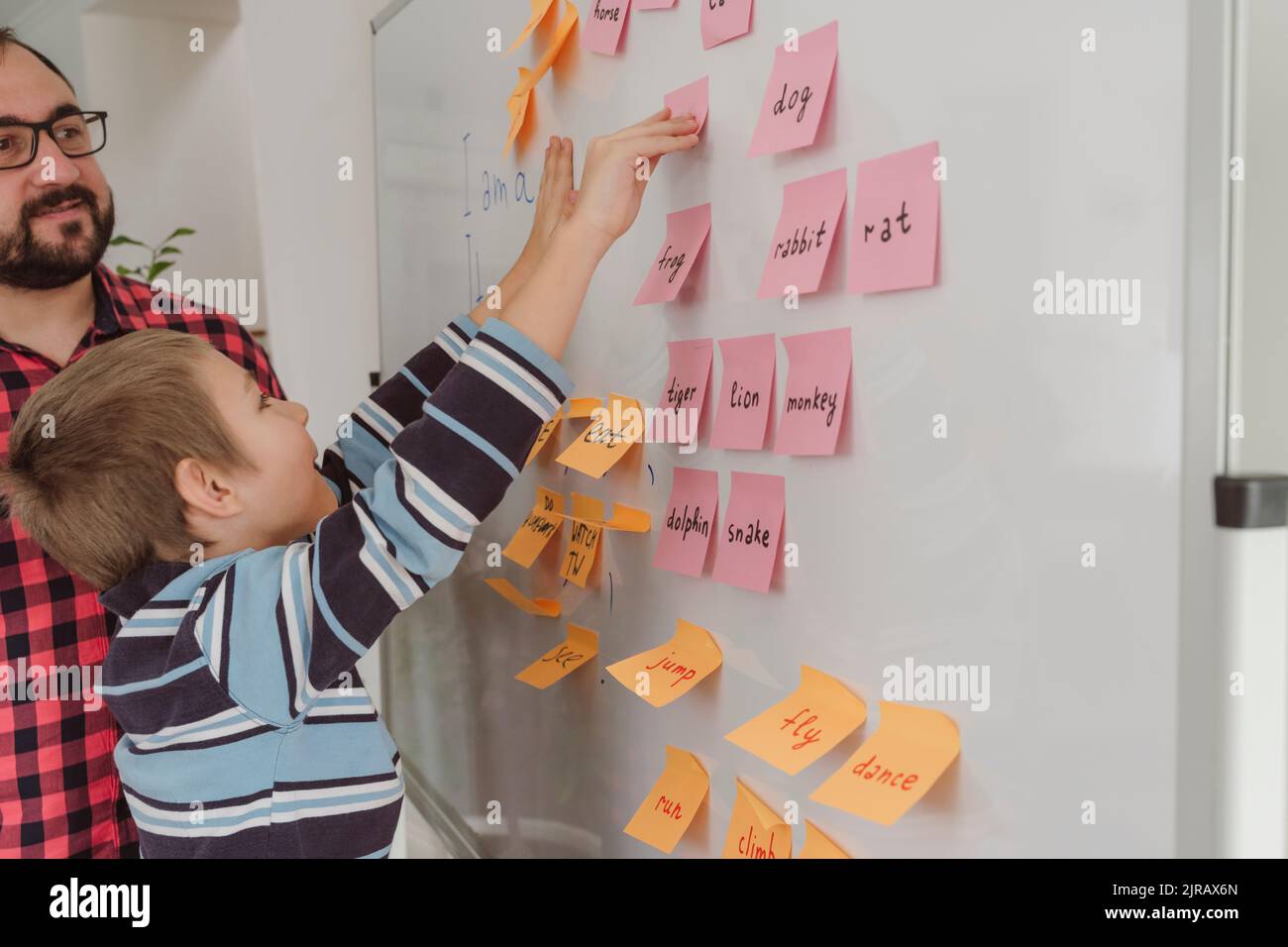 Boy removing adhesive note from whiteboard by teacher at home Stock