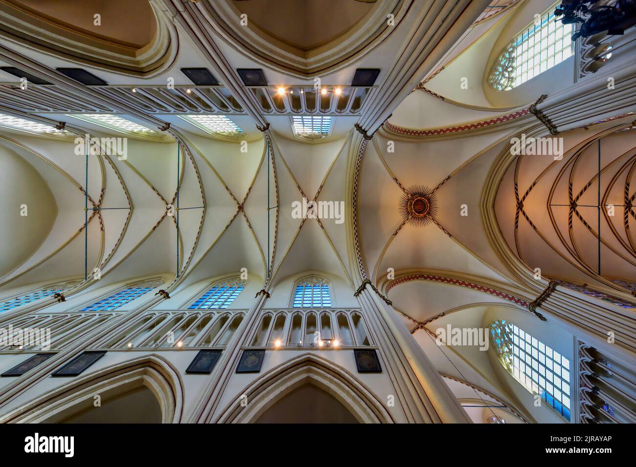 Saint Salvator Cathedral, Ceiling vault, Bruges, Belgium Stock Photo